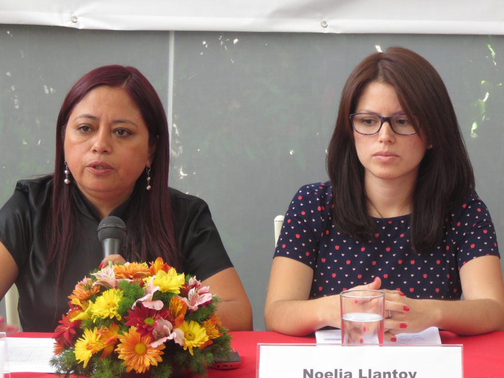 «Por no actuar, por no defenderte»: Estado peruano pide disculpas públicas a mujer a la que negó aborto de feto anencefálico a los 17 años