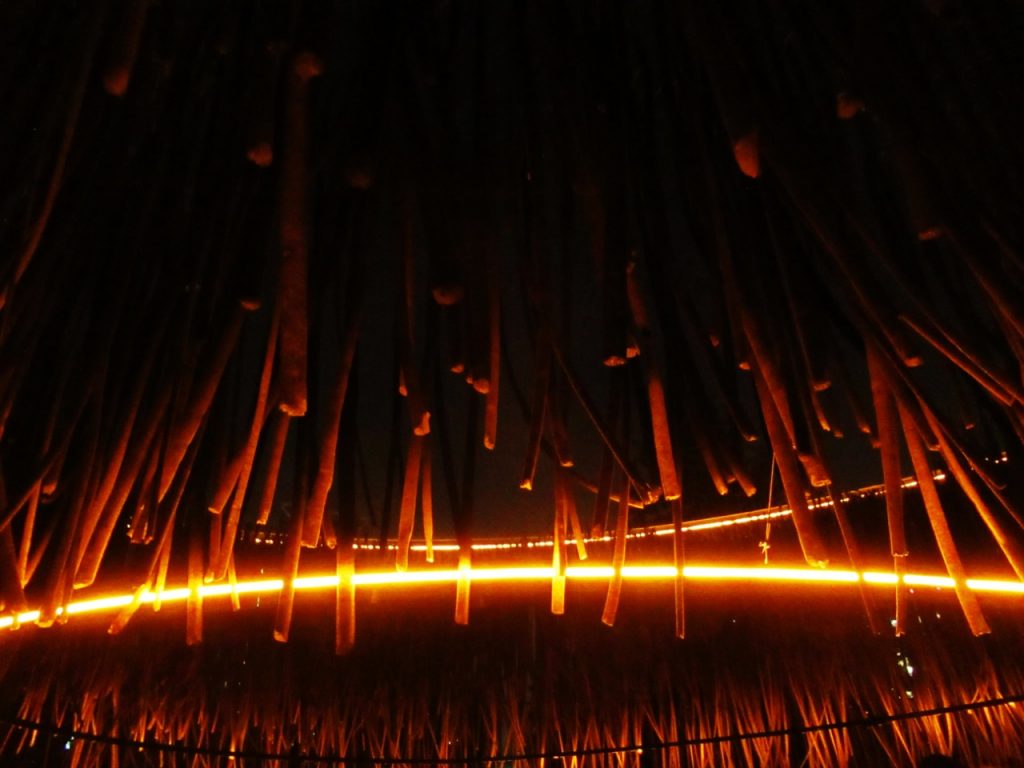 «La Luz del Cochayuyo»: Instalación de 18 mil piezas de algas marinas iluminan el Parque Araucano