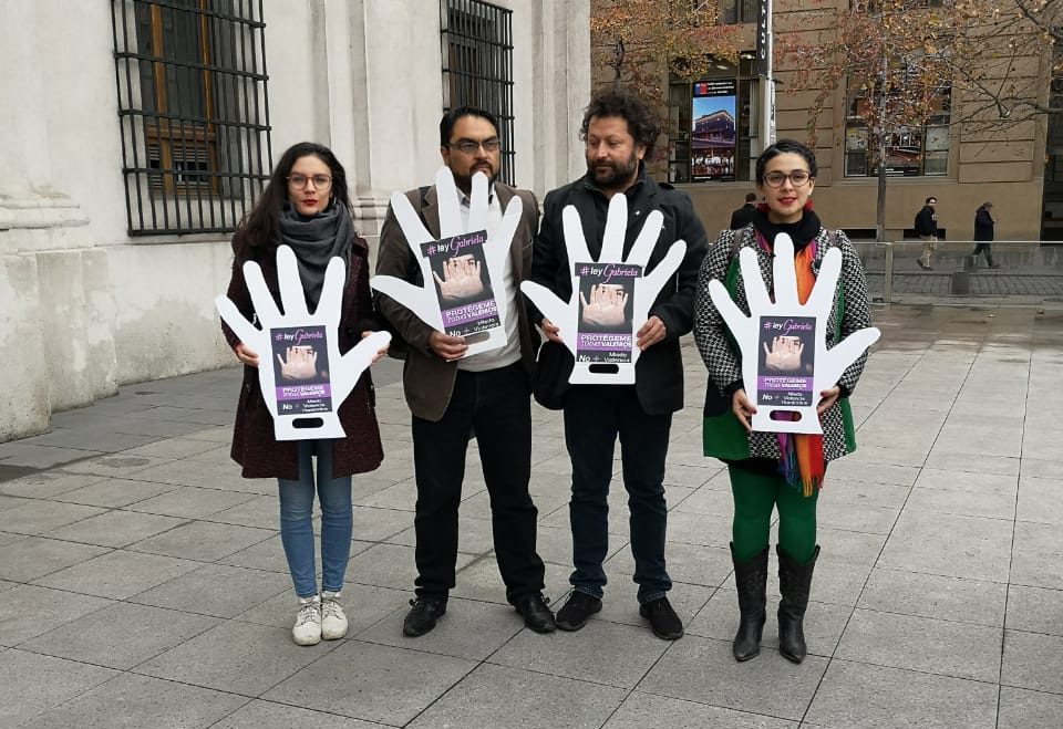 Junto a familia de Gabriela Alcaíno: Diputadas Cariola y Vallejo exigen a Piñera dar suma urgencia a #LeyGabriela