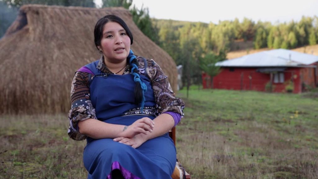 Corte Suprema confirma fallo que desconoce vulneraciones contra la defensora mapuche Onésima Riquelme