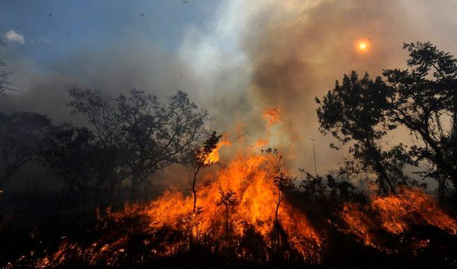 Los incendios en la Amazonía de Brasil dejan a Sao Paulo en la oscuridad