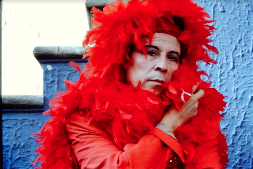 Festival de cine documental sobre arte contemporáneo llega a Chile