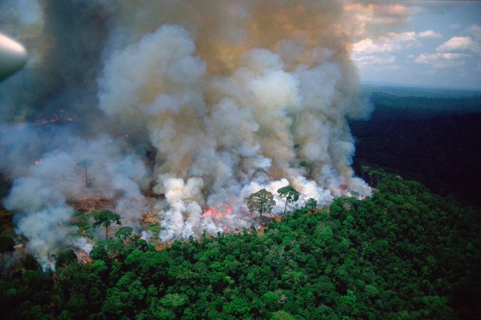 Agencia espacial advierte que la Amazonía está quemándose a una velocidad récord