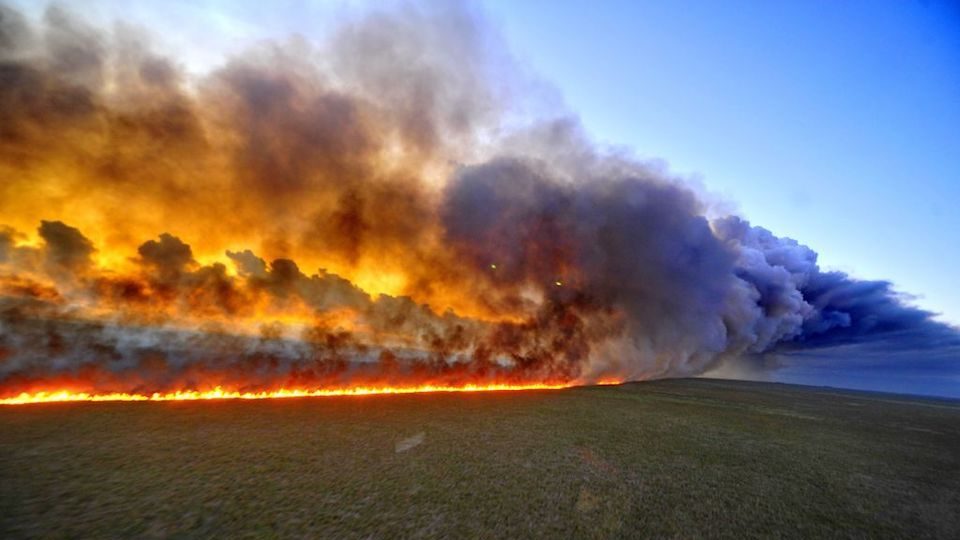 La Amazonía en llamas: incendios superan en un 83% a los del año pasado