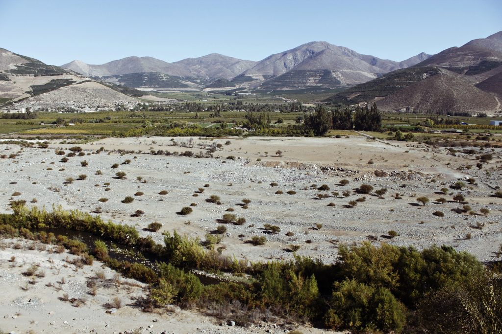 Chile: el único país en donde un palto tiene más derecho al agua que tú y donde 24 son menos que 12