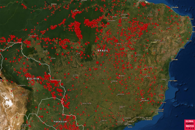 Las consecuencias devastadoras de los incendios en la Amazonía de Brasil