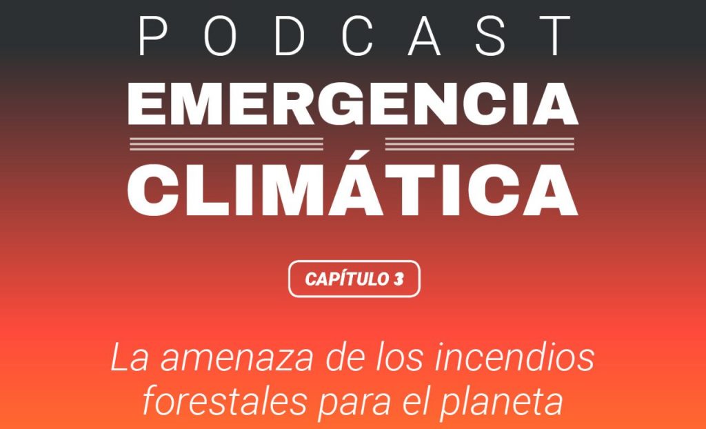 «La amenaza de los incendios forestales para el planeta»: Escucha un nuevo capítulo de «Emergencia Climática», el podcast de El Desconcierto