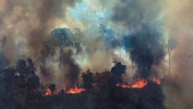 Amazonas: escribir lo que nos quema