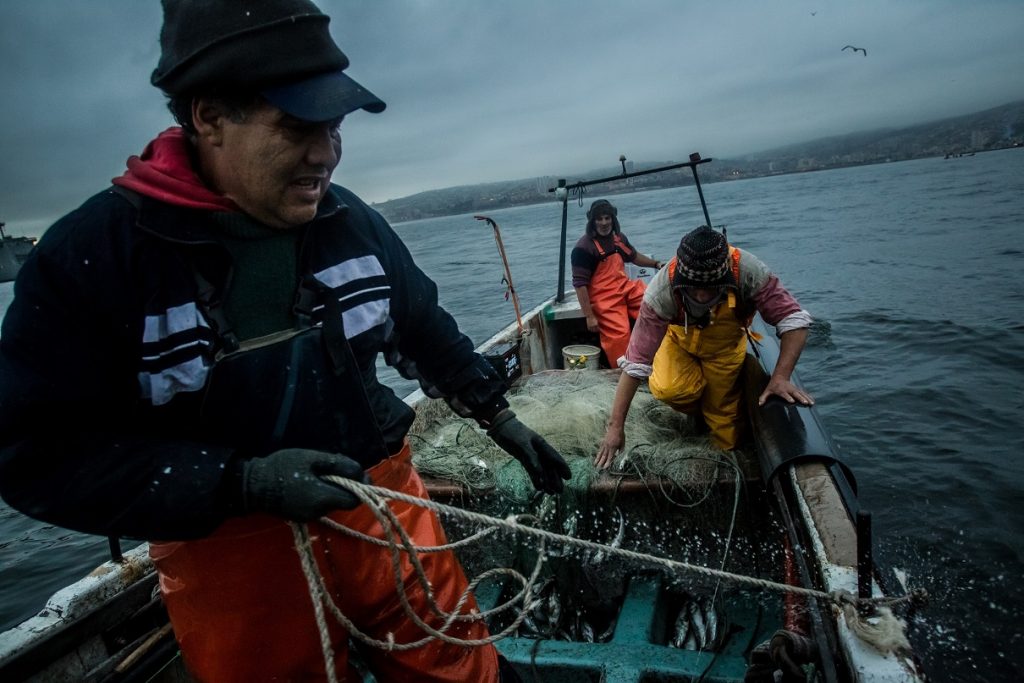 Pescadores celebrarán por tercera vez consecutiva el Día de la Merluza Chilena