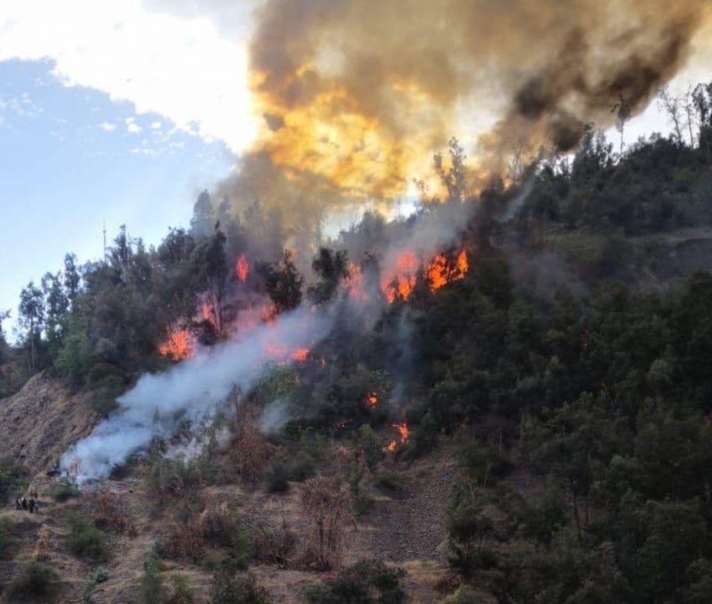 VIDEOS| Incendio con diversos focos afecta ladera del cerro San Cristóbal