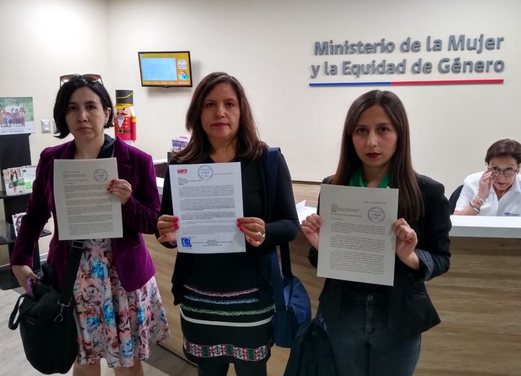 Instituto de la mujer, Red de investigadoras y Observatorio contra el acoso renuncian al COSOC del Ministerio de la Mujer y la Equidad de Género