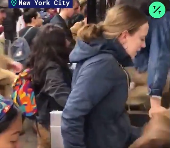 VIDEOS| From Santiago to New York: Evasión masiva llega a EE.UU.