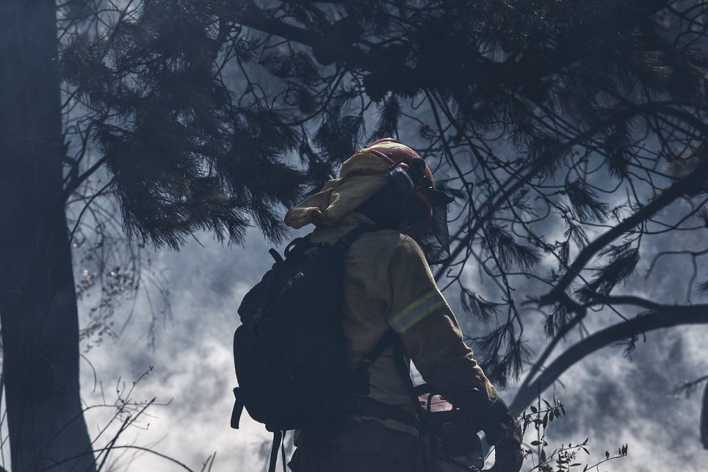 Incendios Forestales en región del Biobío aumentan un 30% con respecto al año anterior