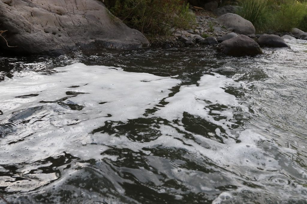 Organización medioambiental denuncia contaminación de Río Toltén por planta de tratamiento de aguas