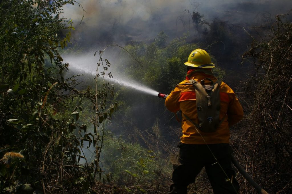 Declaran Alerta Roja para la comuna de Tucapel por incendio forestal
