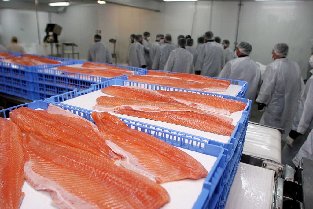Chile suspendió todos los embarques de salmones con destino a China