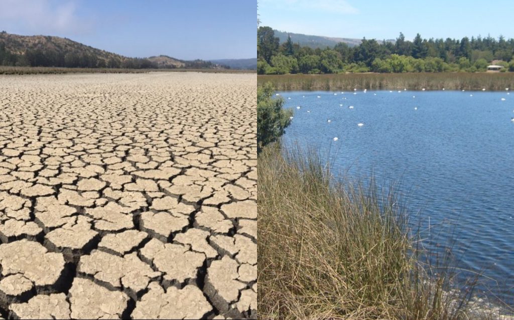 Rodrigo Mundaca por sequía en Reserva Nacional Laguna Torca: «La situación hídrica del país es bastante dantesca»