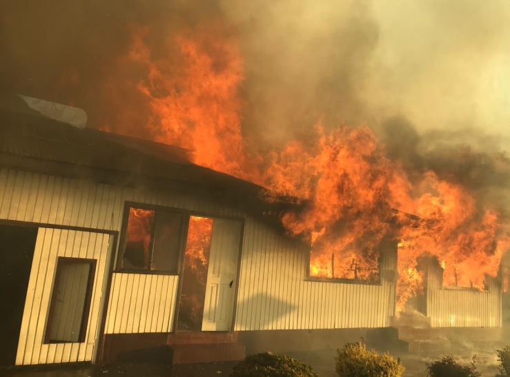 Onemi declara alerta roja: Incendio forestal en Arauco destruye al menos 15 viviendas de la zona