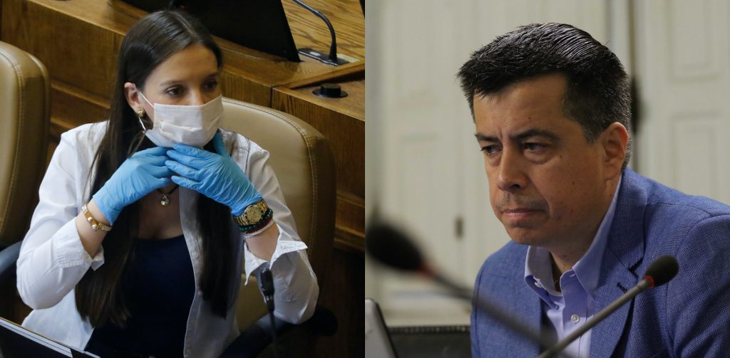 Diputado Celis pide a Mesa de la Cámara que se informe sobre cuestionable actuar de Camila Flores