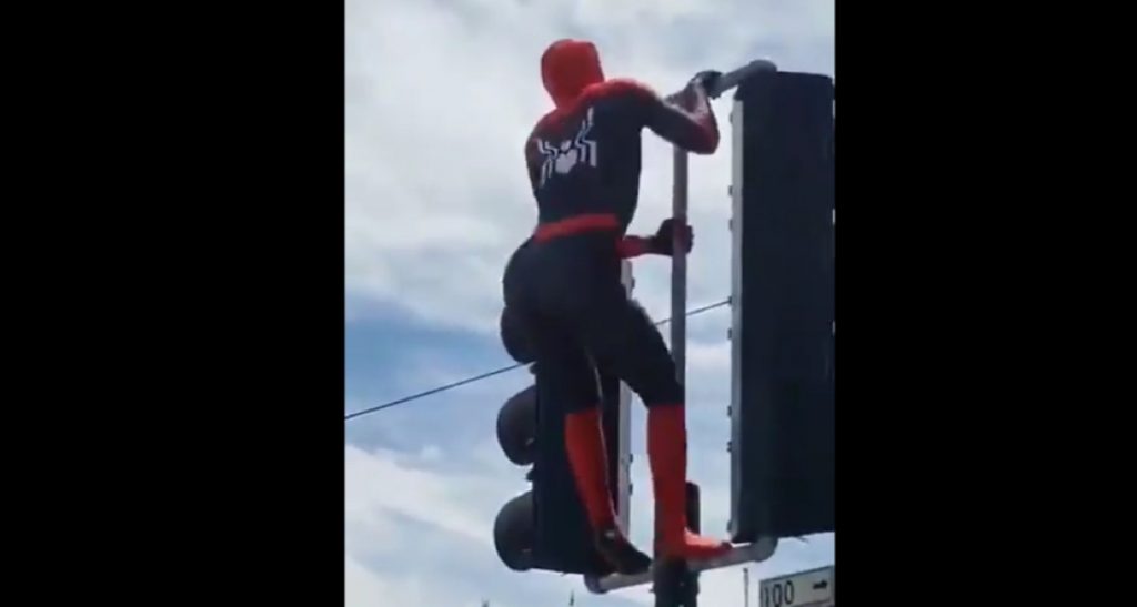 VIDEO| «Sensual Spiderman» ‘made in the USA’ aparece en protestas en Estados Unidos