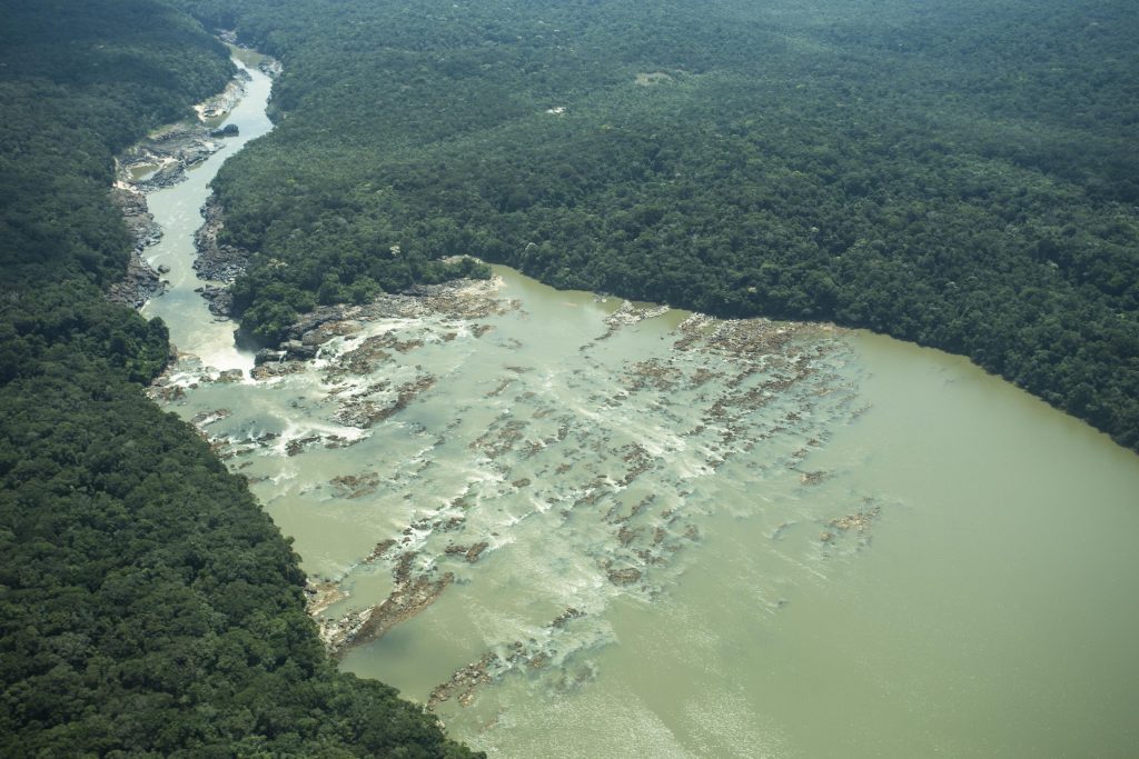 Día Internacional de los Bosques Tropicales: los impactos de una deforestación que nunca paró