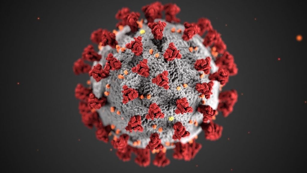 La vacuna de Moderna probada en primates produce una contundente inmunidad contra el COVID-19