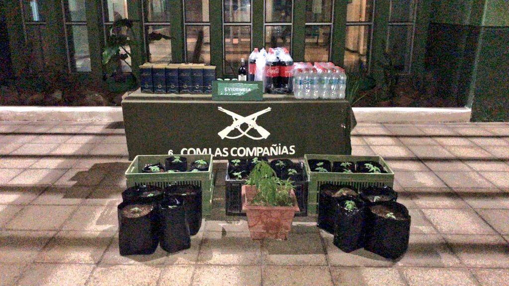 Otra fiesta clandestina: 36 personas detenidas en Coquimbo por masivo evento ilegal